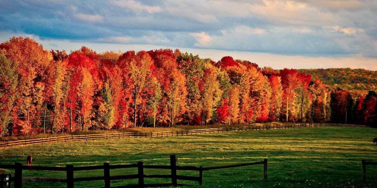 Miracle Mountain banner