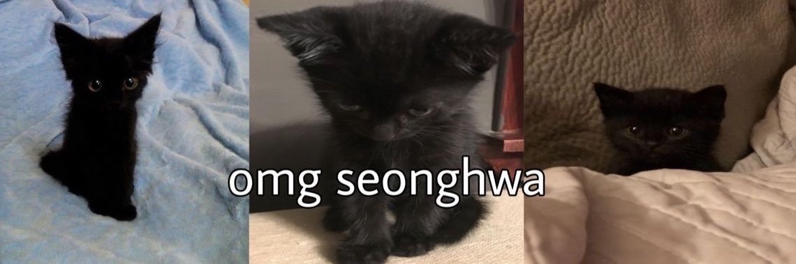 cheesecat1117's profile banner image