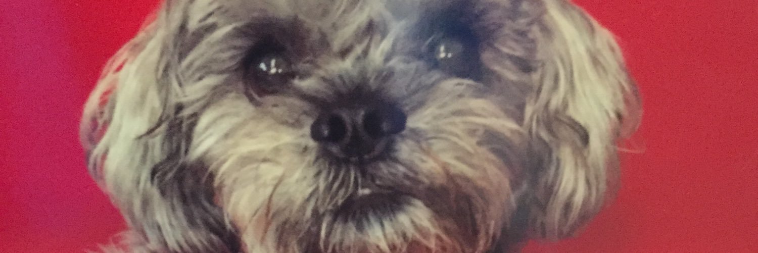 Tragically Weak banner