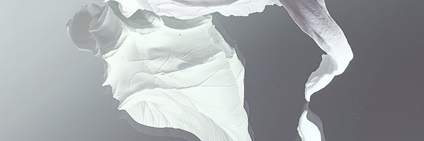 VVARREN banner