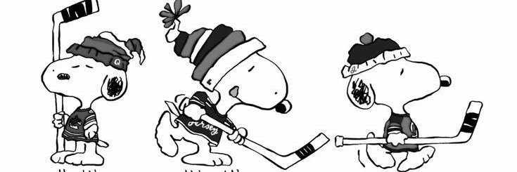 stickstickpuck's profile banner image