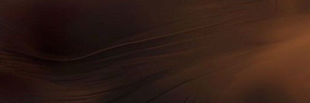 lil banner