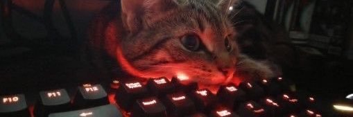letttsy's profile banner image