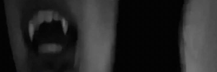 lostmys4nity's profile banner image