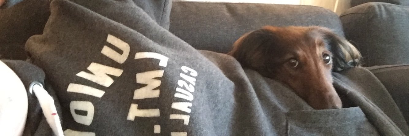GingerAne's profile banner image