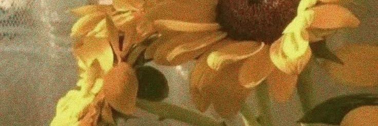 CircusOfH0pe's profile banner image