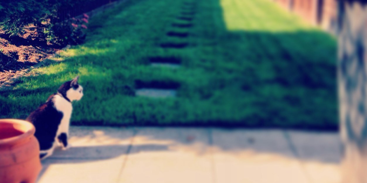 kevla banner