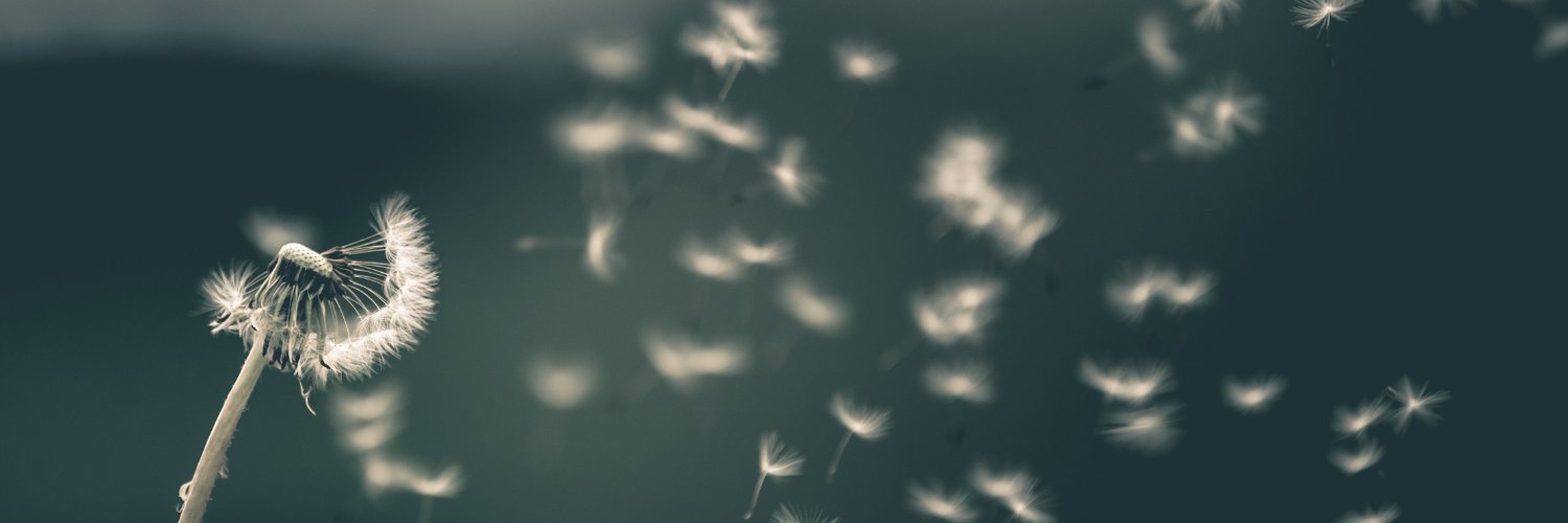 vanbyfe's profile banner image