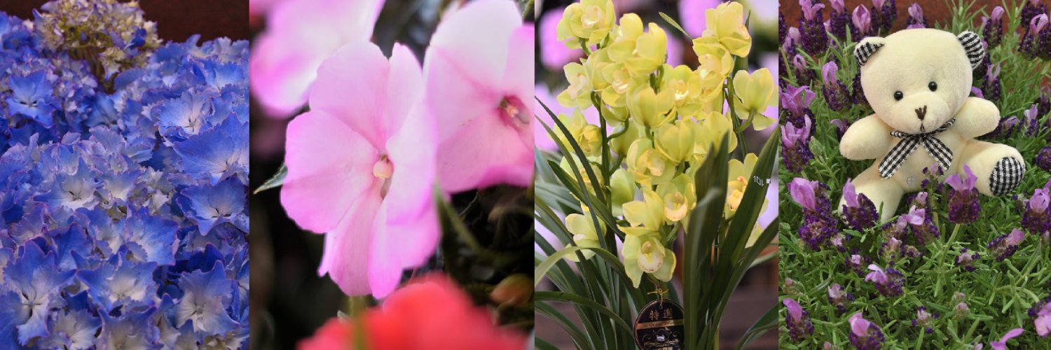 flowerbox8783's profile banner image