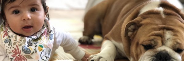 WadeBriggs Profile Banner