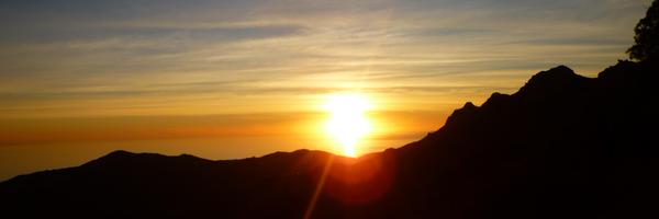 tracigillig Profile Banner