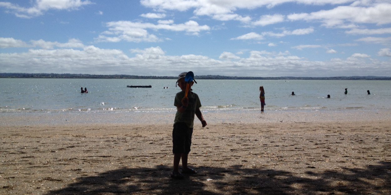 andrea nelson banner