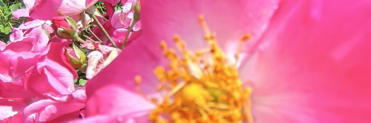 ebbbbbbb613's profile banner image
