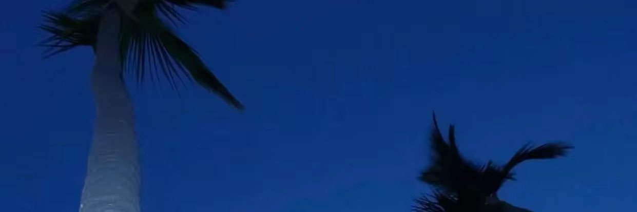 ShawnWan0's profile banner image