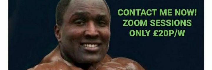 twistedlemones's profile banner image