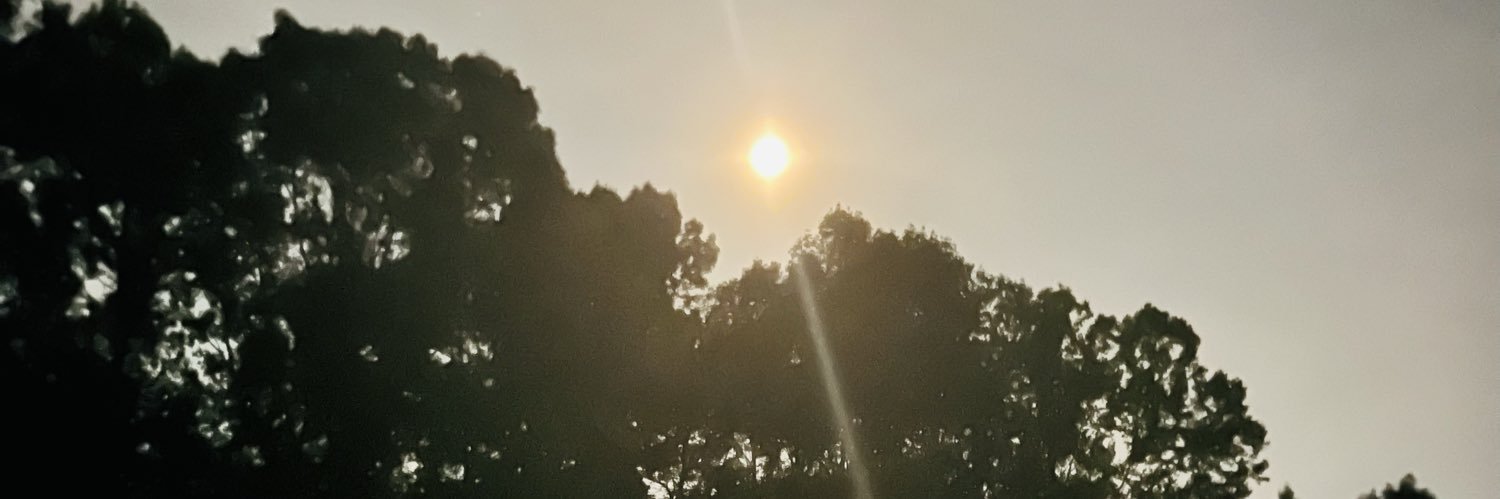 doecuts's profile banner image