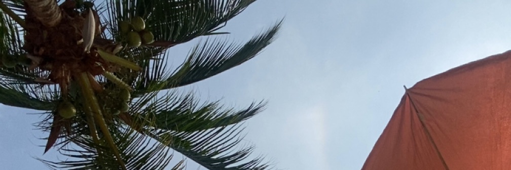 🤍🔆 Brisa de Mar 🔆🤍's banner