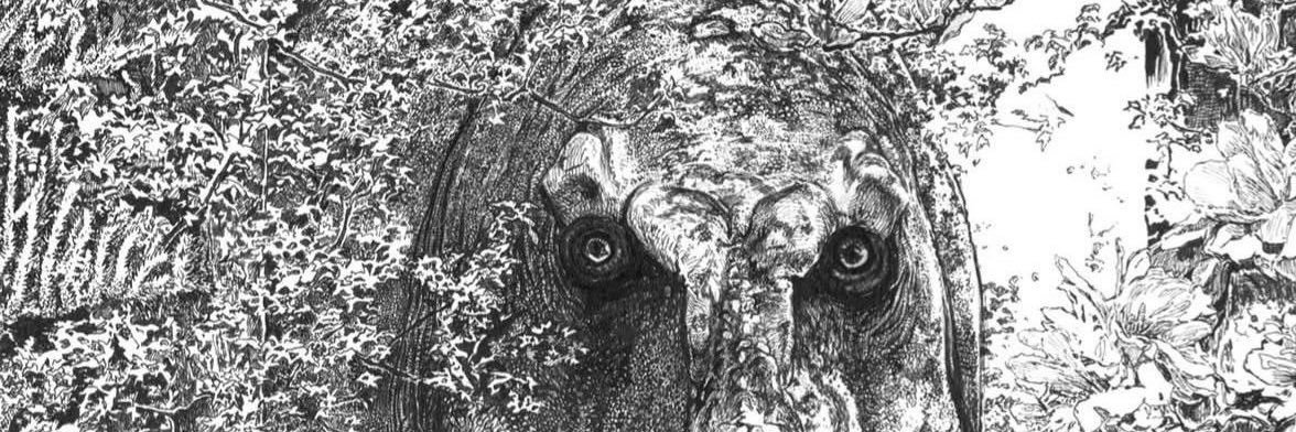 Imago88888's profile banner image
