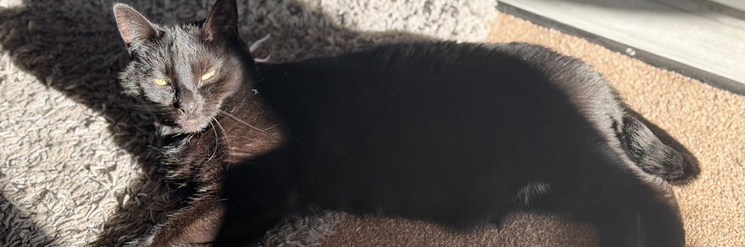 𝔼𝕝𝕒𝕚𝕟𝕖 ❤❤ banner