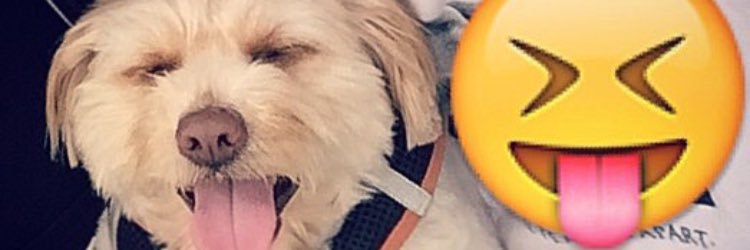 RSDivaJessica's profile banner image