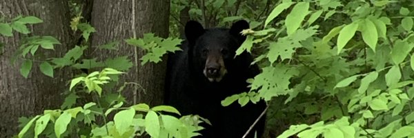 iamchiaravalli Profile Banner