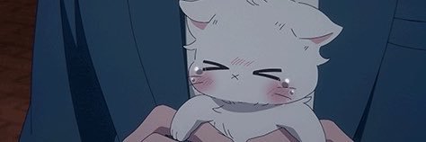 jojo77114's profile banner image