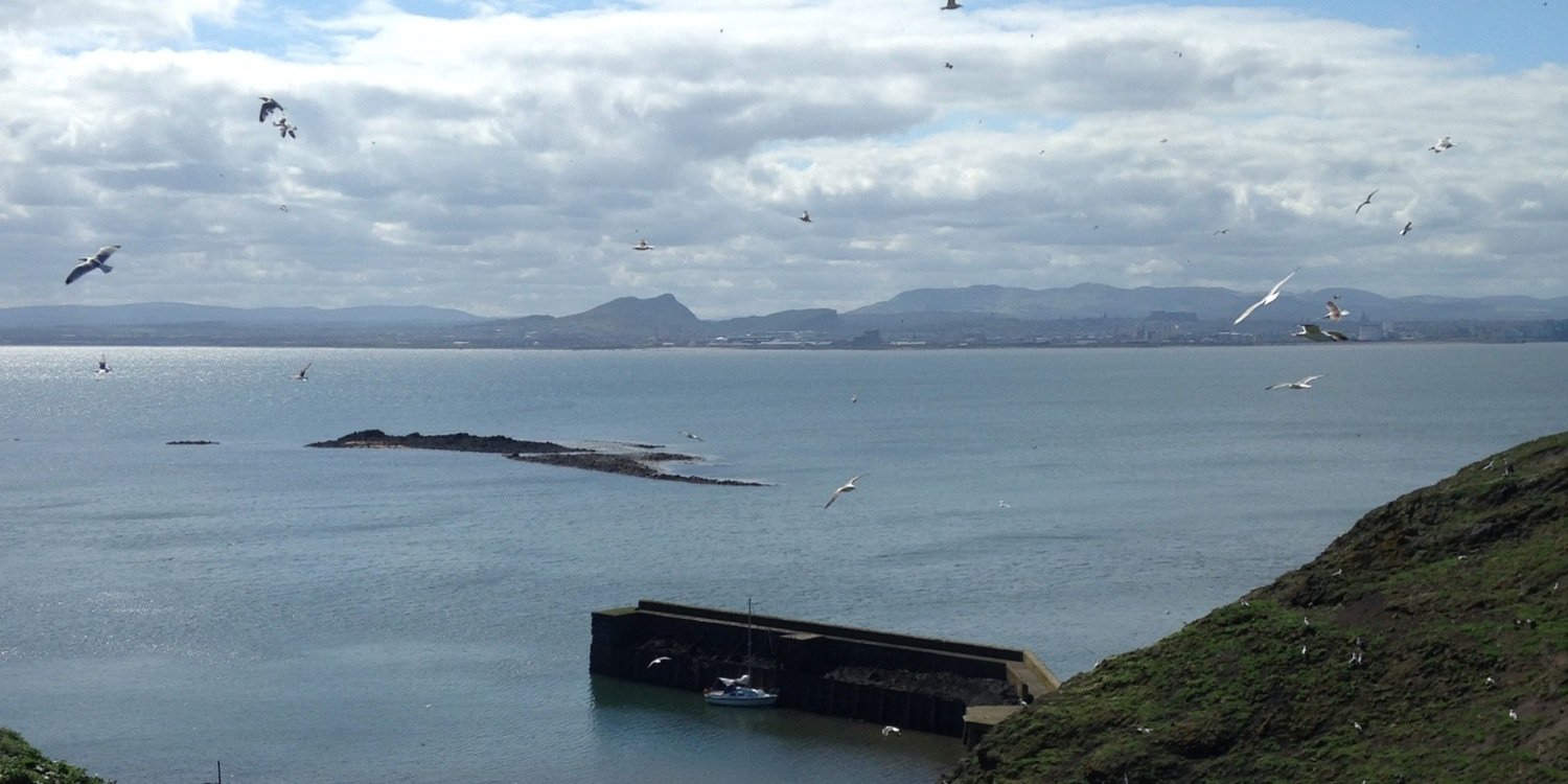 Cap’n Jimbo banner