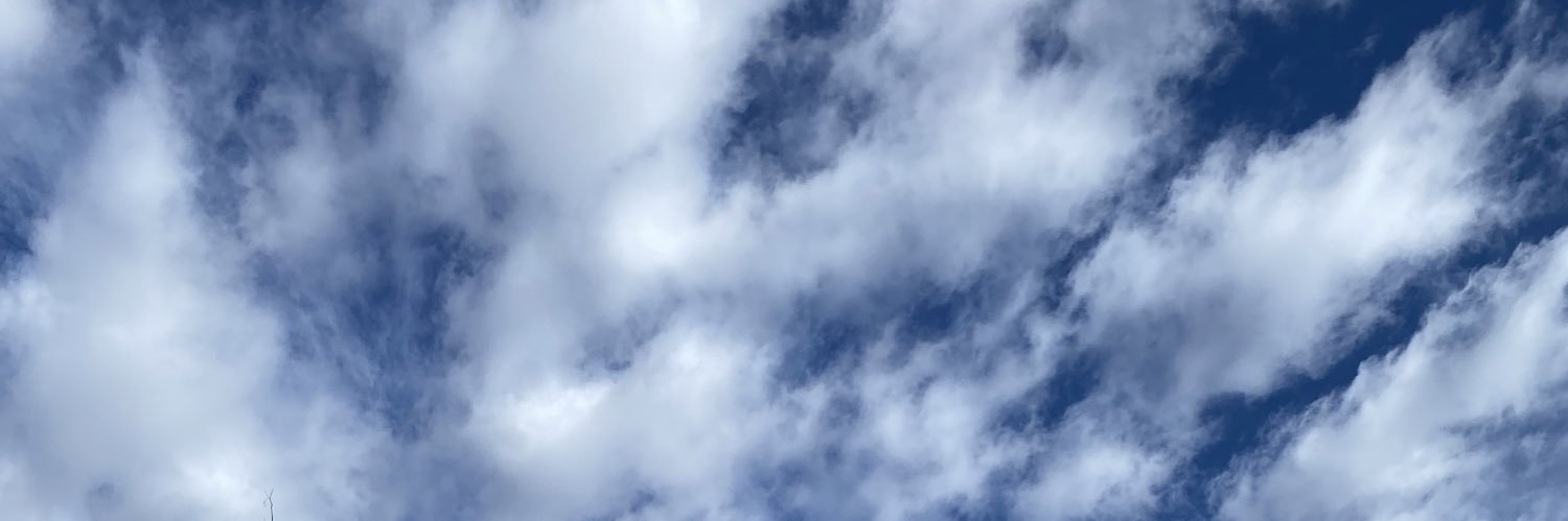 Marianela Villanueva banner