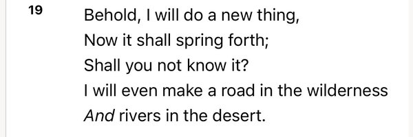 orinayooye Profile Banner