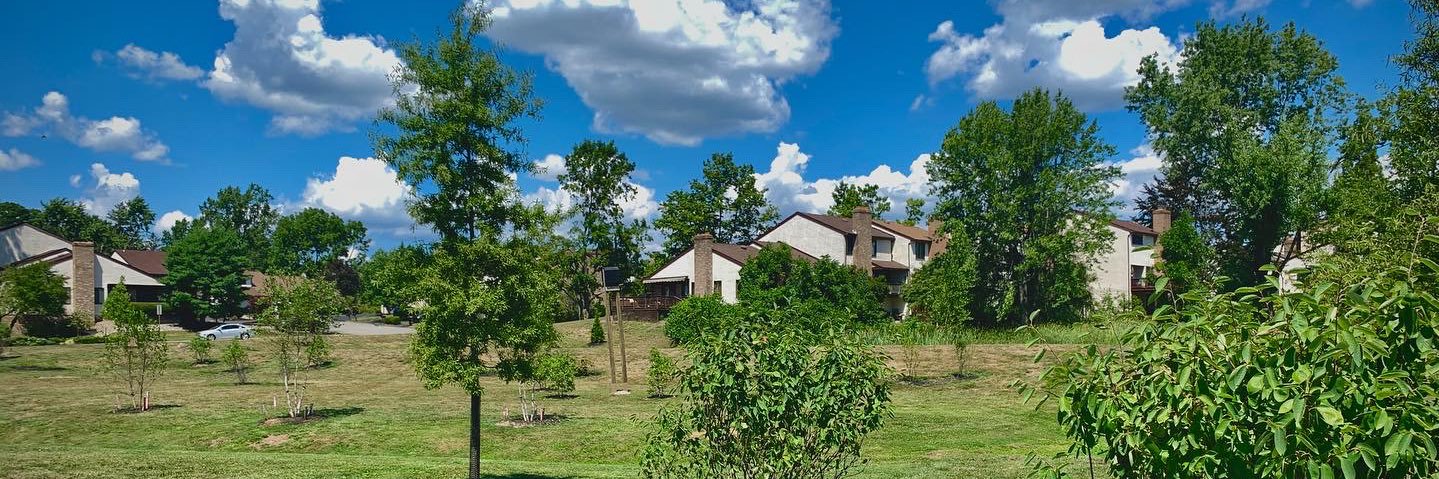 yasser elsheshtawy banner