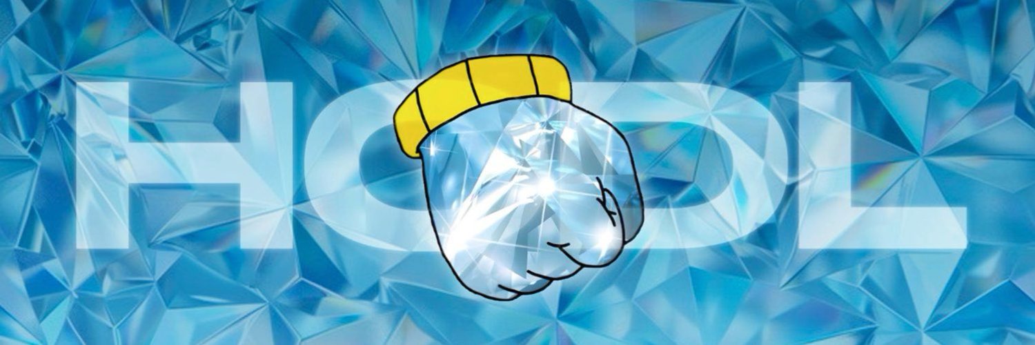 HODLROBINHOOD's profile banner image