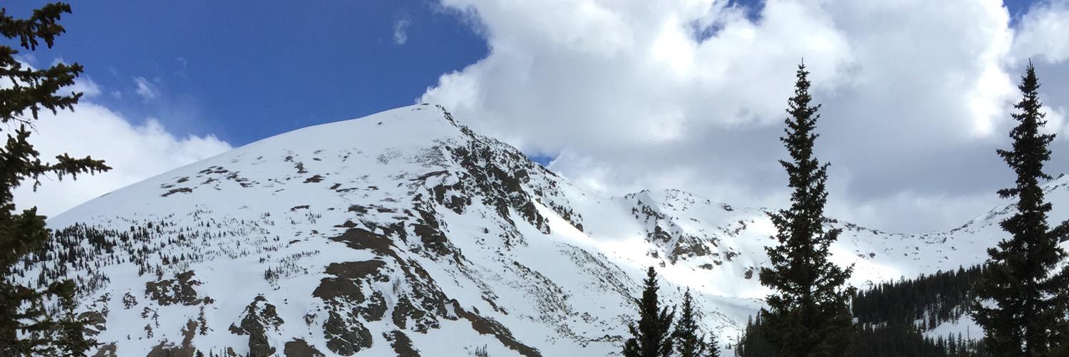 TaylorHubbard's profile banner image