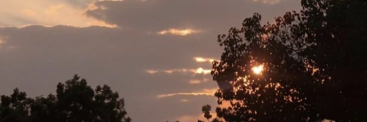 maddie_grdf's profile banner image