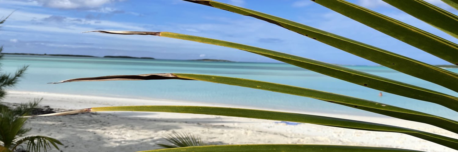 pmcgreal's profile banner image