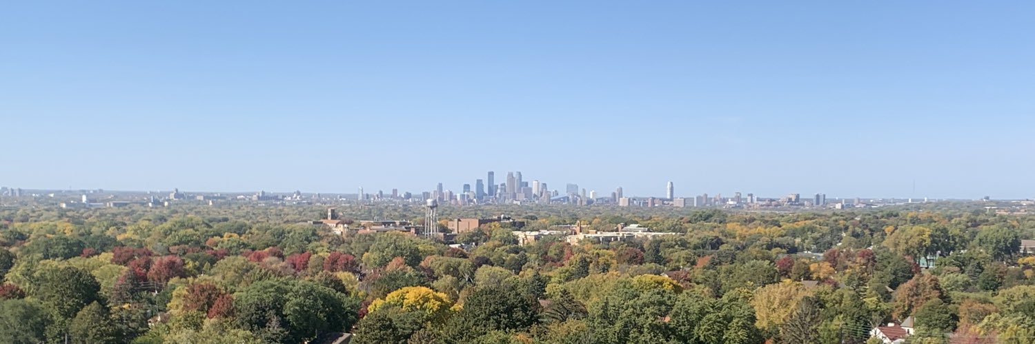 Saint Paul Stan banner