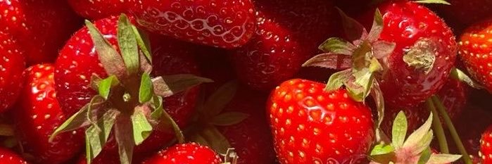 yochichhi's profile banner image
