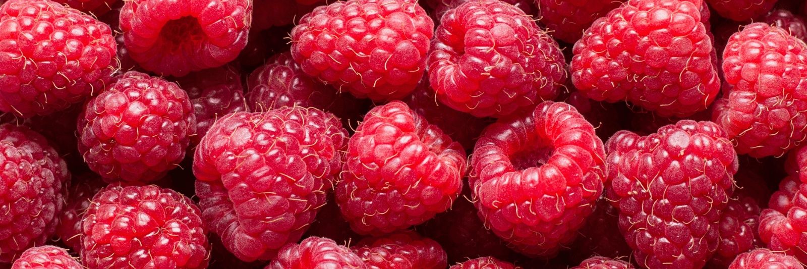 raspamberry's profile banner image