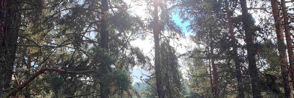 alpergkhn's profile banner image
