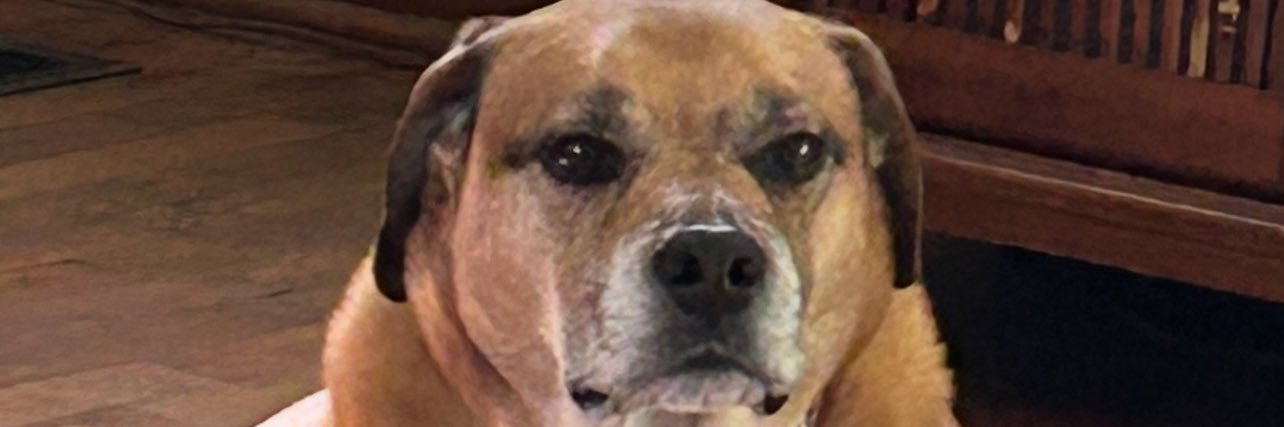 cherylzed66's profile banner image