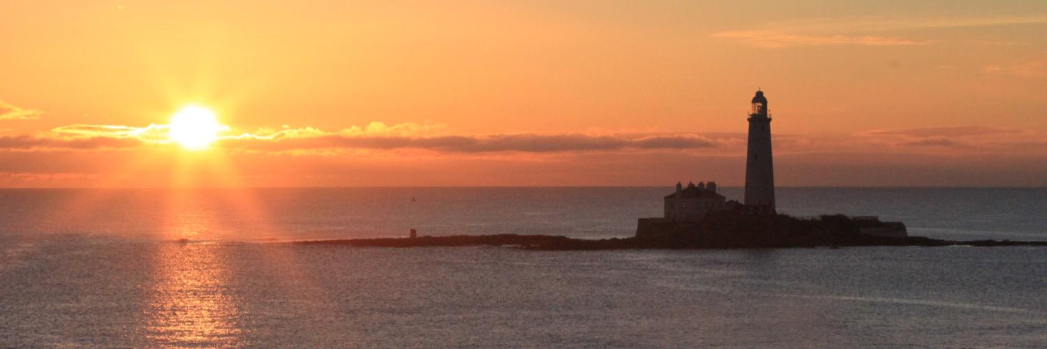 stuart johnson banner