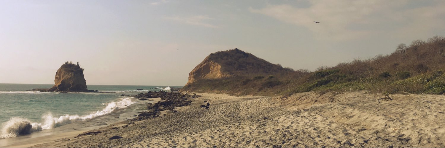 fmenesesz's profile banner image