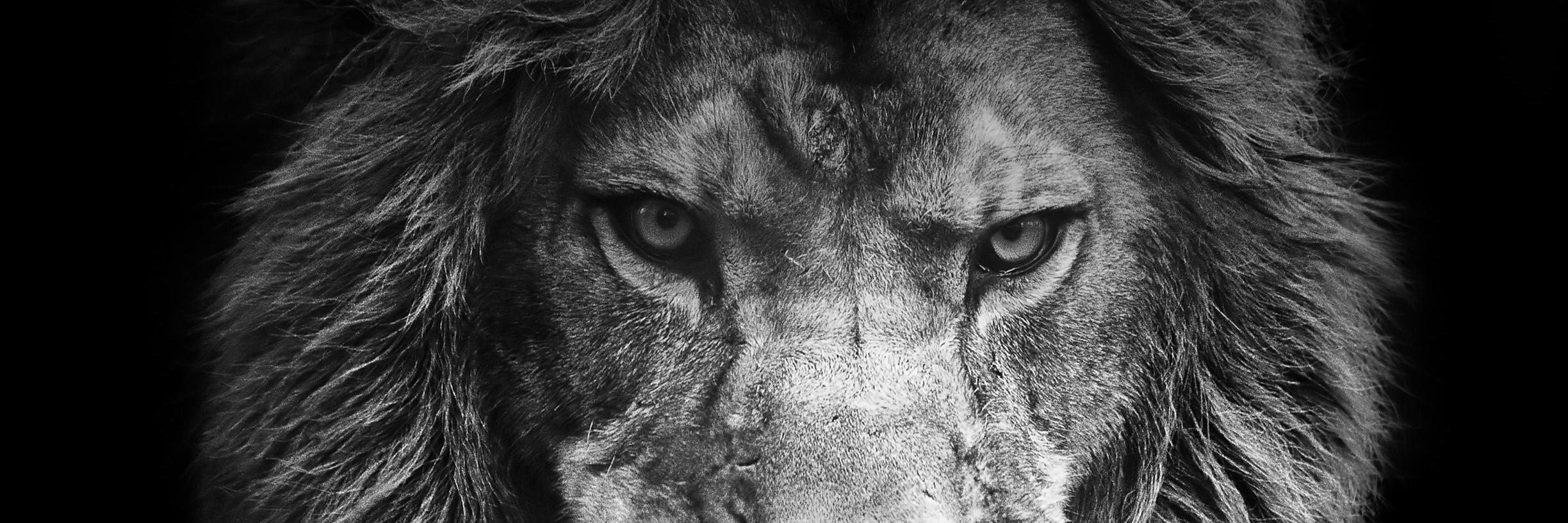 kingnam1's profile banner image