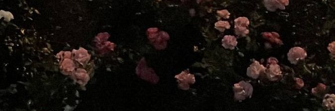p0po27's profile banner image