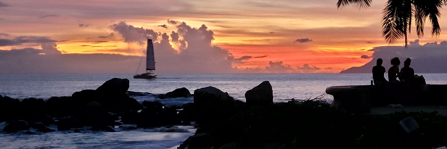 Bertrand Gedeon banner