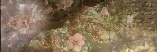 mj banner