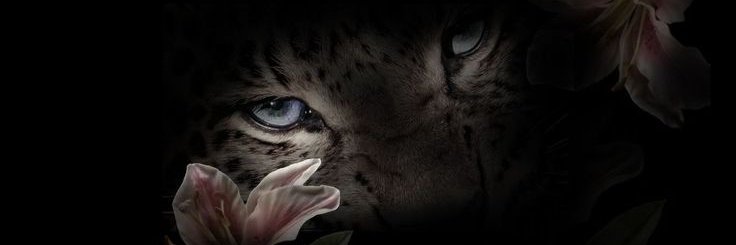 clover⁷ banner