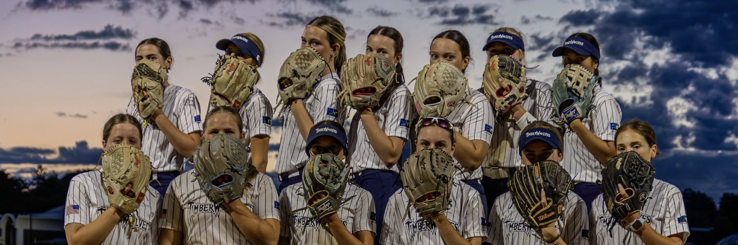 CT_Twolves's profile banner image