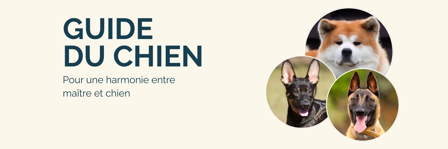 Guideduchien's profile banner image