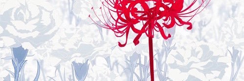 Haise_oct's profile banner image