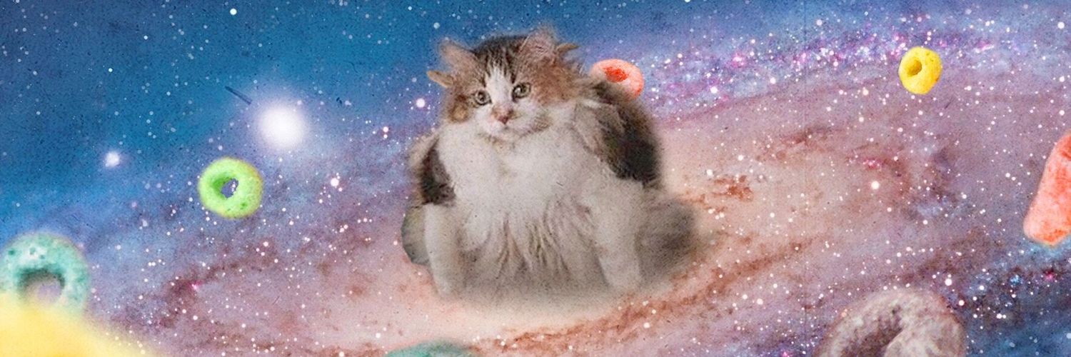 wilderyns's profile banner image